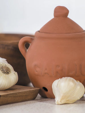 Terracotta Garlic Keeper