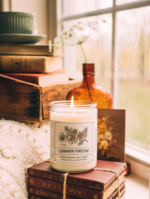 Finding Home Farms Cinnamon Pinecone Candle
