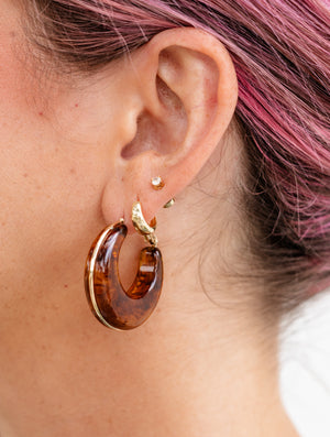 Isla Genovesa Tortoise Hoops