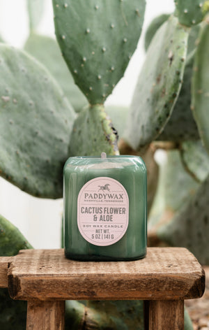 Mini Vista Candle | Cactus Flower & Aloe
