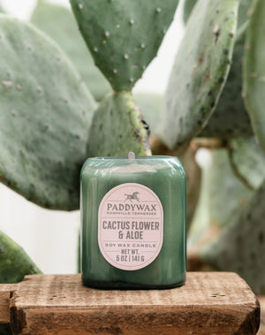 Mini Vista Candle | Cactus Flower & Aloe