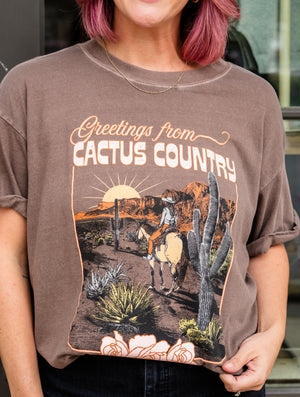 Greetings From Cactus Country Boyfriend Tee