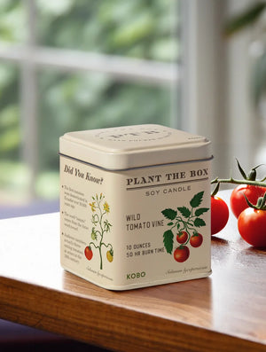 Plant the Box Wild Tomato Vine Tin Candle