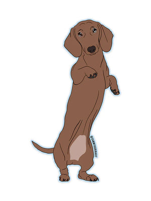 Dachshund Dog Sticker