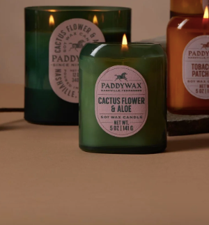 Mini Vista Candle | Cactus Flower & Aloe