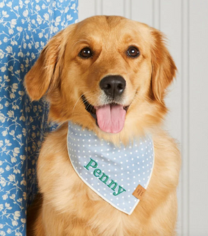 The Foggy Dog Chambray Dots Bandana