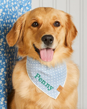 The Foggy Dog Chambray Dots Bandana