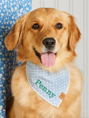 The Foggy Dog Chambray Dots Bandana