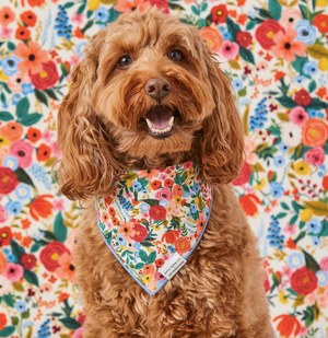 TFD x Rifle Paper Co. Garden Party Bandana