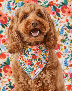 TFD x Rifle Paper Co. Garden Party Bandana