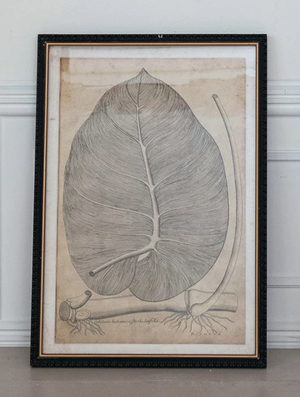 Imprinted Framed House Plant Wall Art