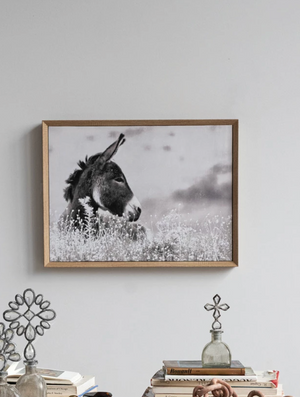 Baby Donkey Framed Canvas Wall Art