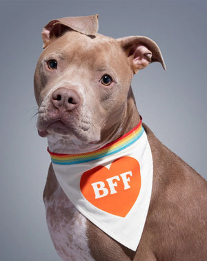 BFF Dog Bandana