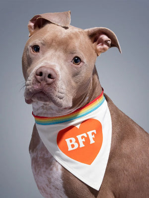 BFF Dog Bandana