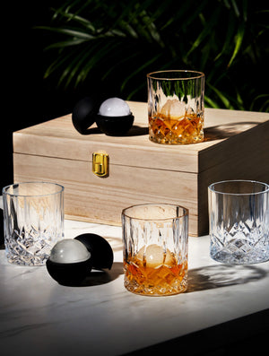 Whiskey Lowball & Ice Mold Gift Set