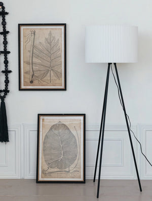 Imprinted Framed House Plant Wall Art