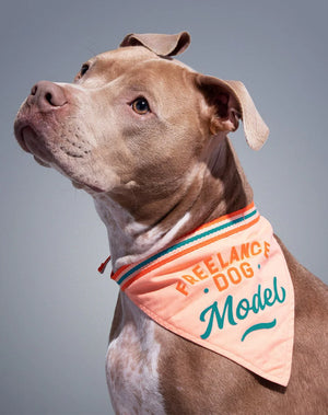 Freelance Dog Model Dog Bandana