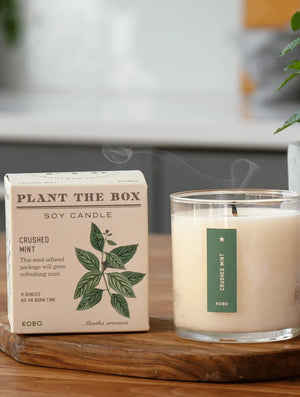 Plant the Box Crushed Mint Boxed Candle