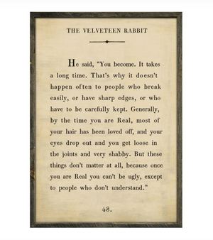 The Velveteen Rabbit Framed Art