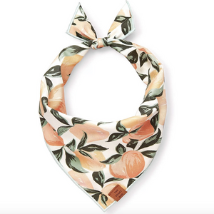 The Foggy Dog Bandanas