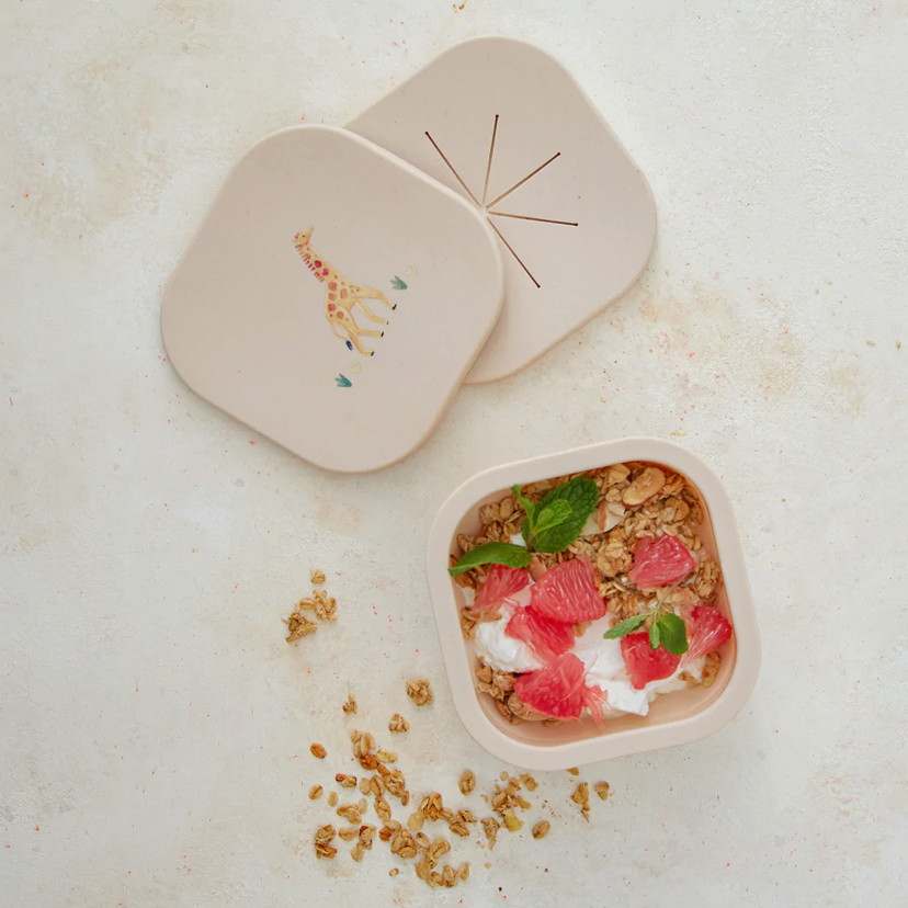 Safari Silicone Bento Box - The Mercantile at Mill + Grain