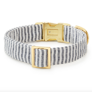 The Foggy Dog Collar
