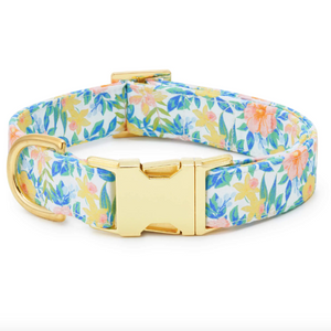 The Foggy Dog Collar