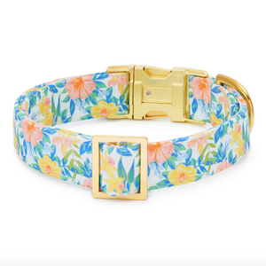 The Foggy Dog Collar