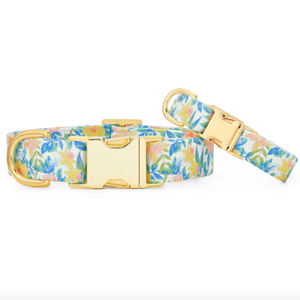 The Foggy Dog Collar
