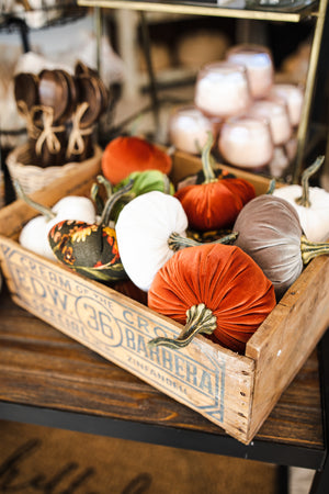 Handmade Velvet Pumpkins